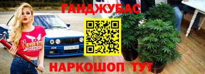 apvp Тулун